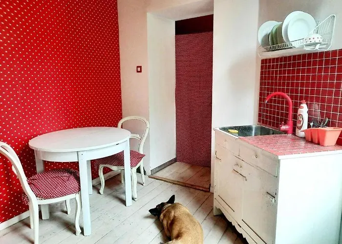 Apartmán Retro House *